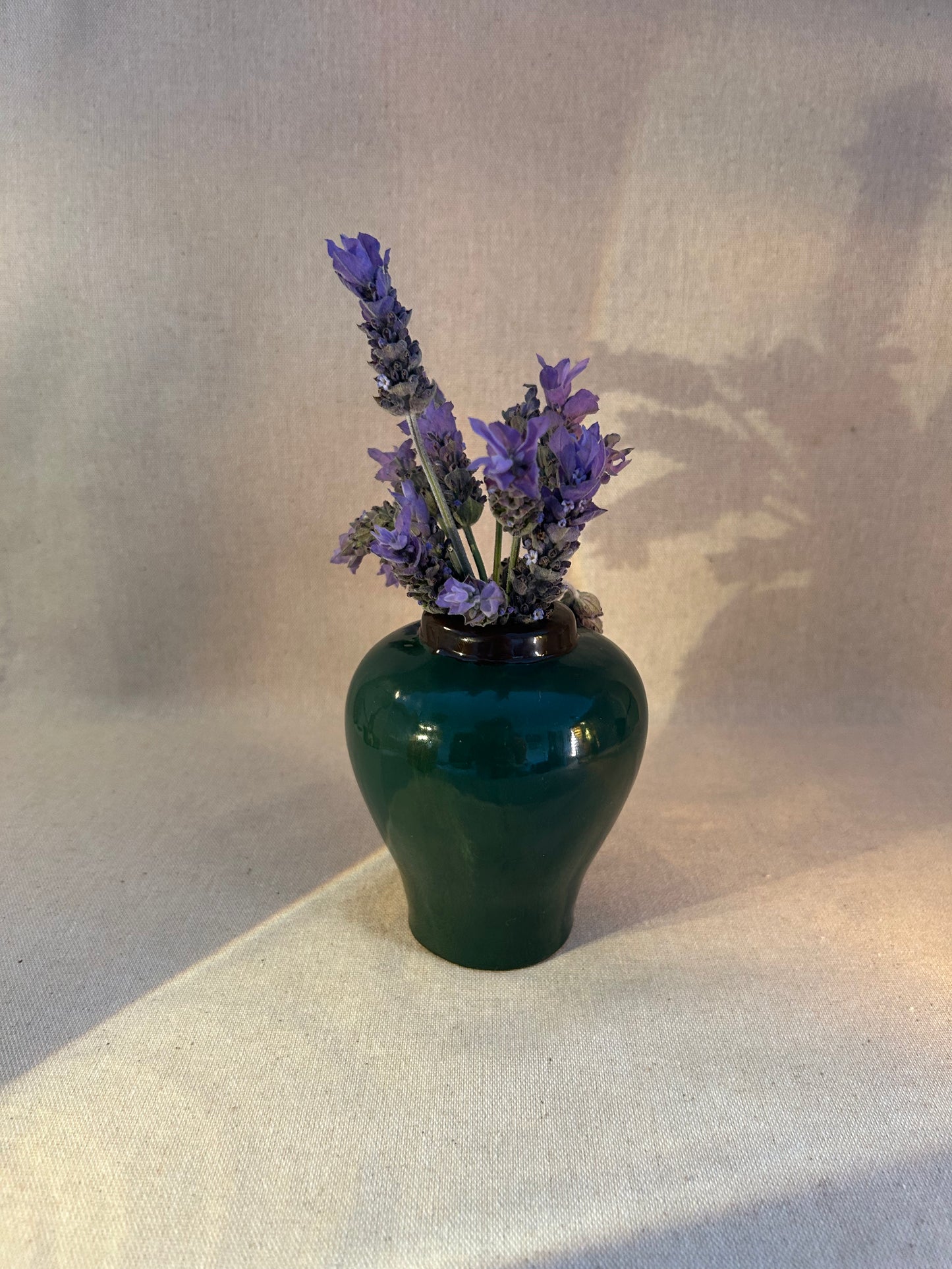 Yeşil & Mavi Mini Testi