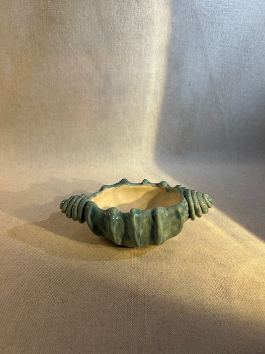 Deniz Kabukları Takı Kutusu