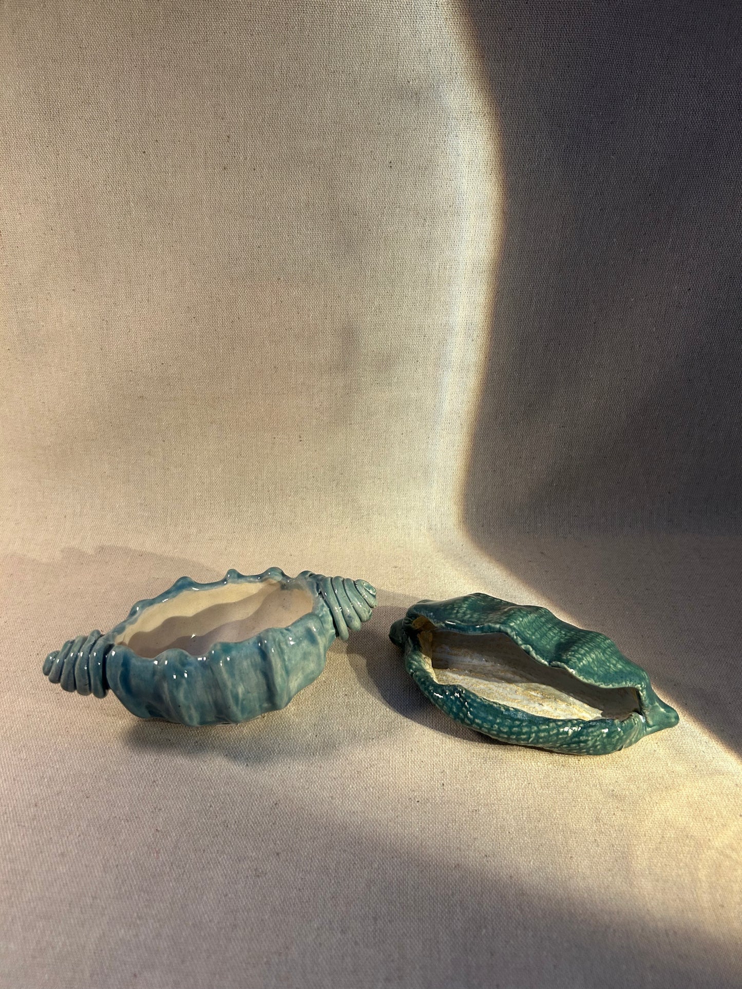 Deniz Kabukları Takı Kutusu