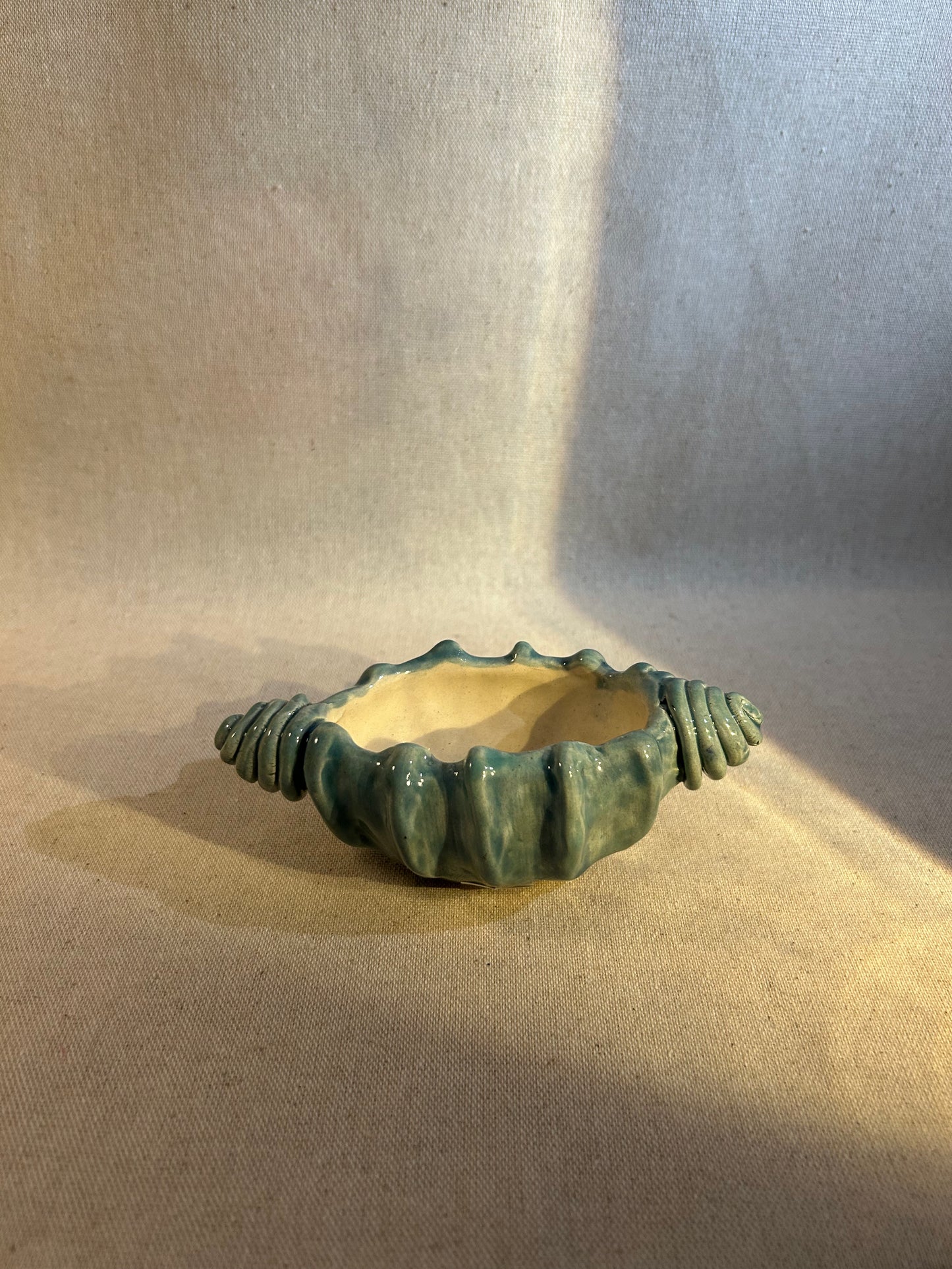 Deniz Kabukları Takı Kutusu