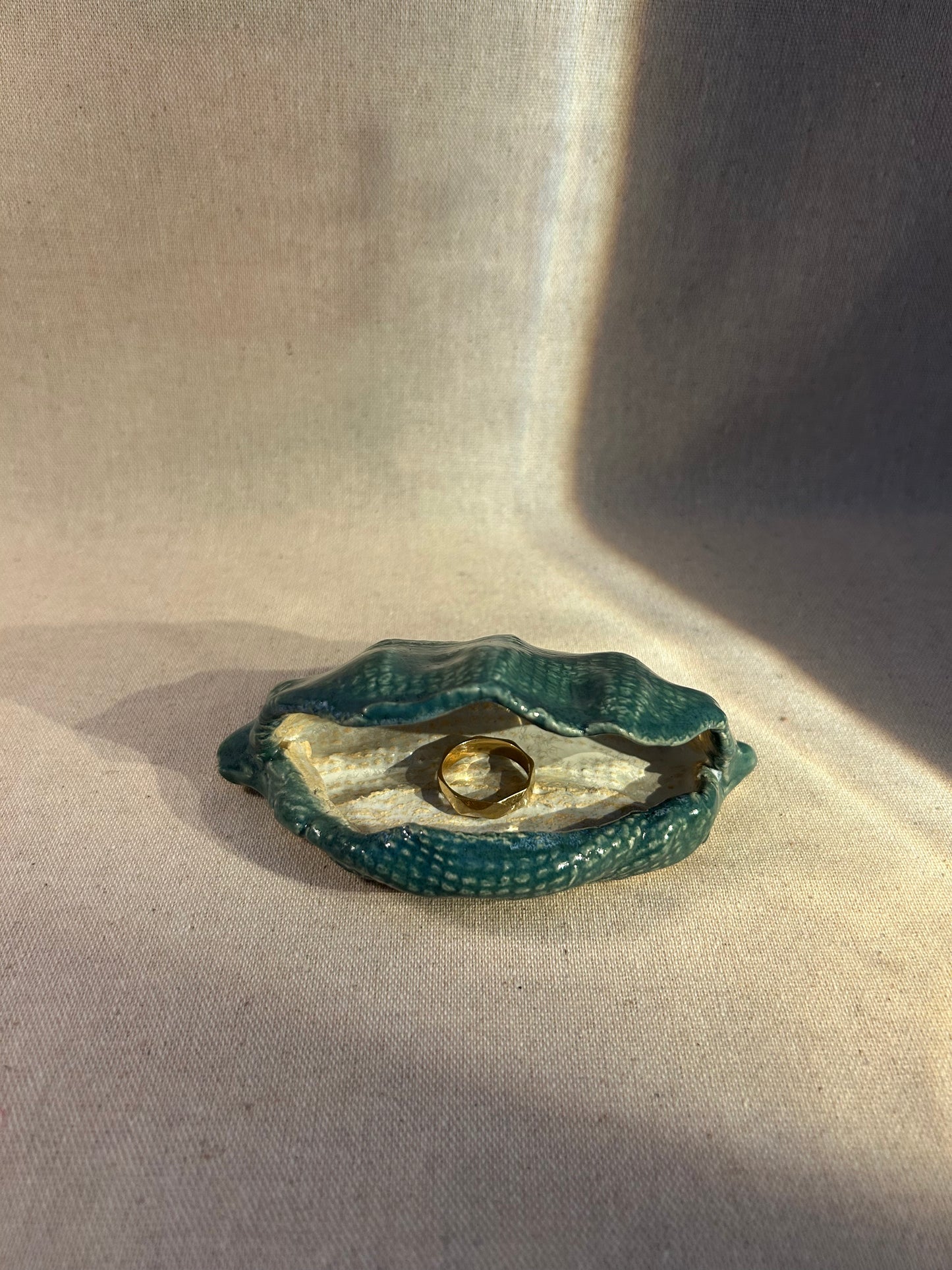 Deniz Kabukları Takı Kutusu