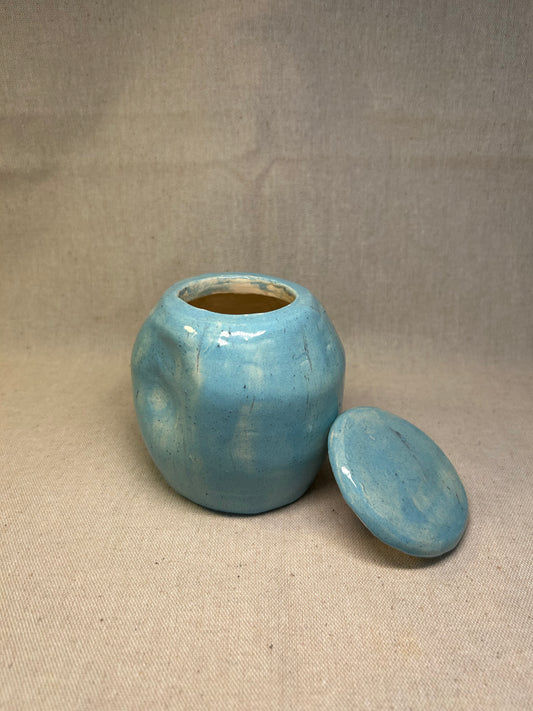 Mavi Çarkıfelek Dokunuşlu Kavanoz