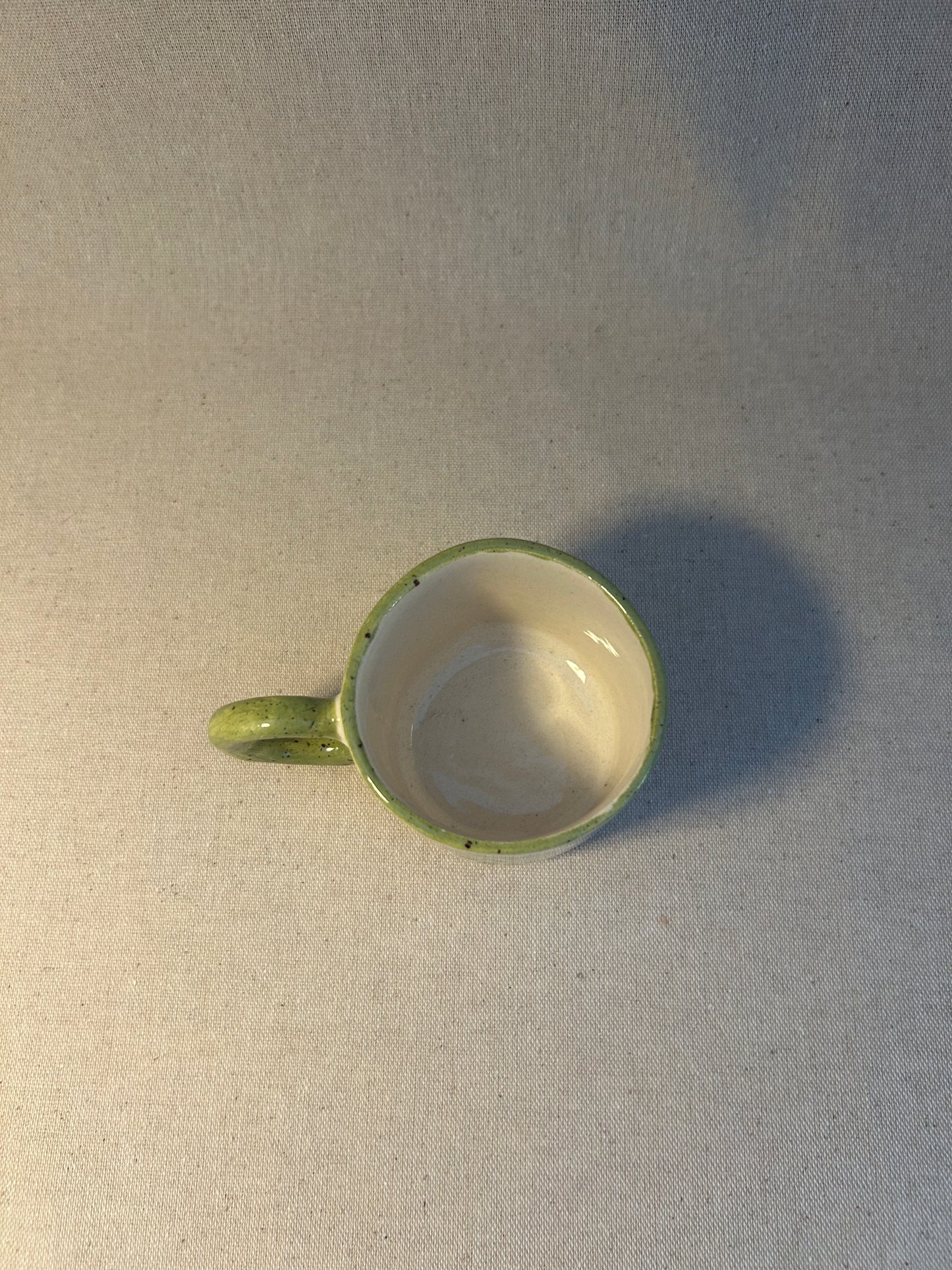 Yeşil Deniz Kulağı Kupa